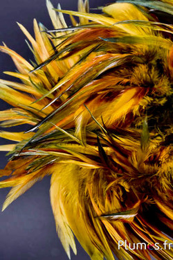 Fringe haan - veerlengte 10-15 cm - wilde salie